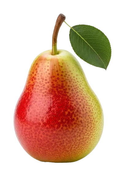 Imagen PNG para descargar